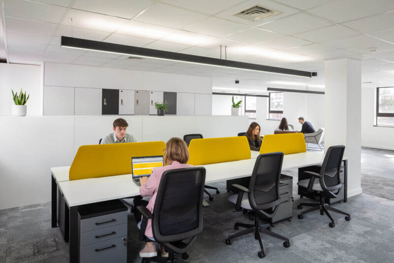 Illuminating Productivity: Choosing the Best Lighting for Your Office