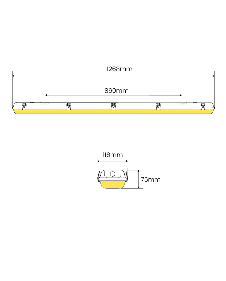 Titan dimensions