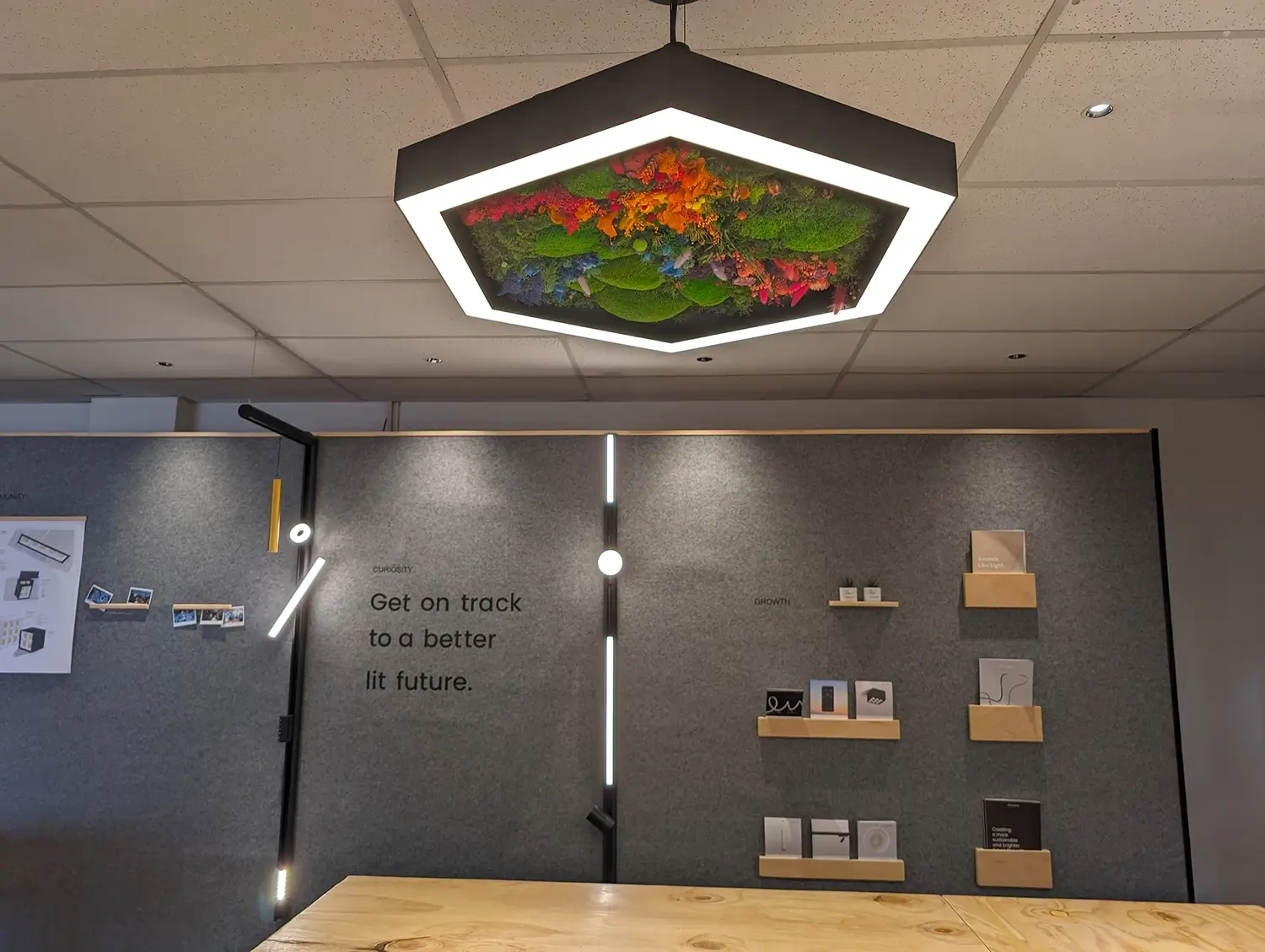 What is Biophilic Lighting?