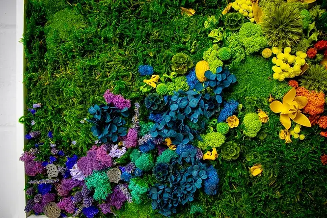 Biophilic Lighting with dried flowers
