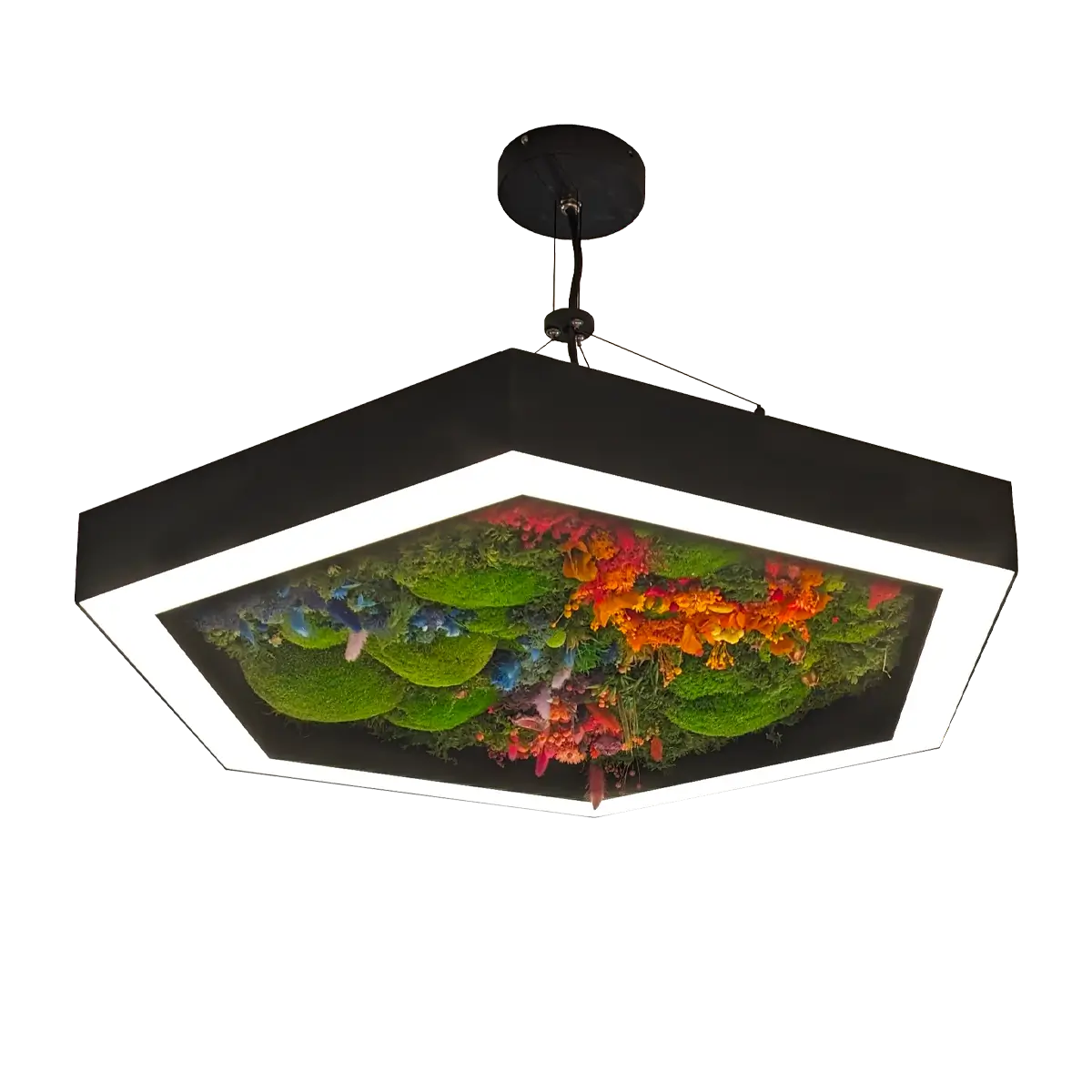 FloraLume Hexagonal